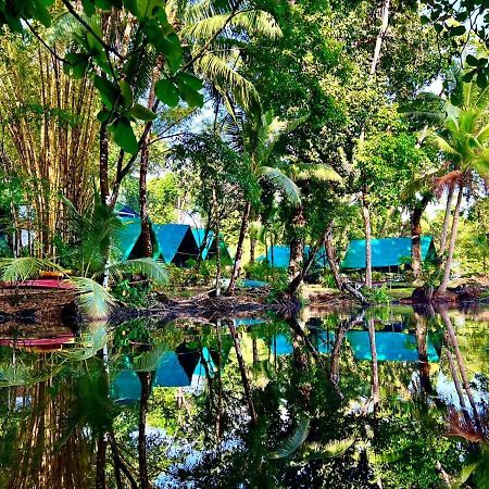 Corcovado Adventures Hostel Drake Bay Exterior photo