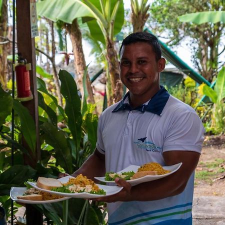 Corcovado Adventures Hostel Drake Bay Exterior photo