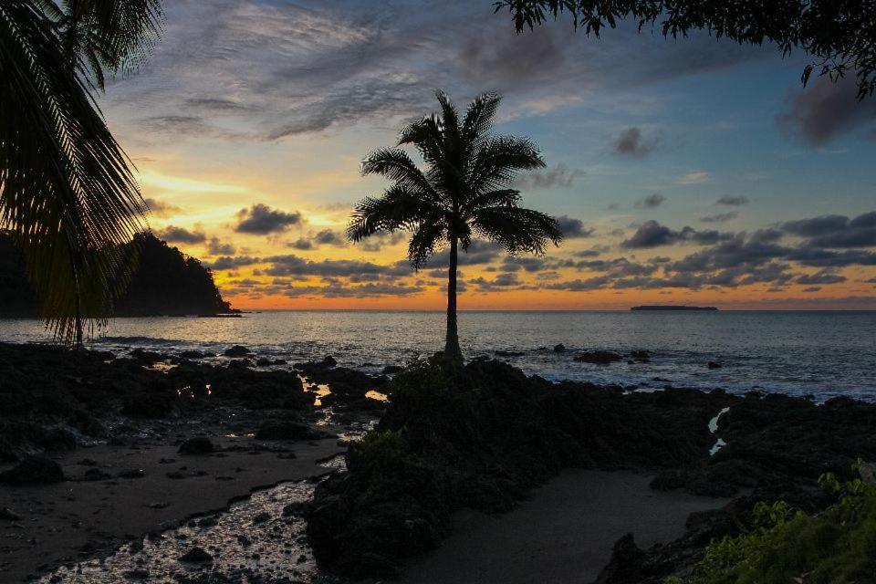 Corcovado Adventures Hostel Drake Bay Exterior photo