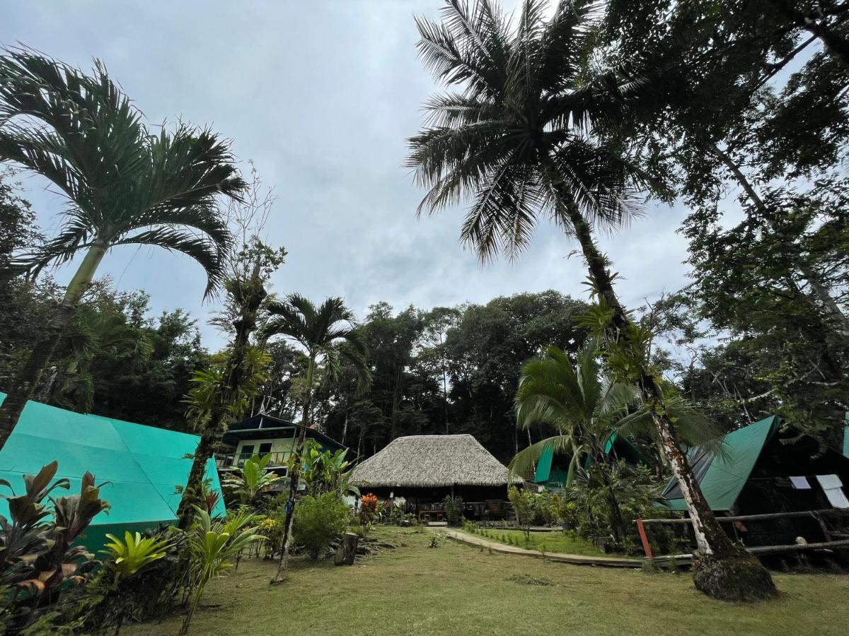 Corcovado Adventures Hostel Drake Bay Exterior photo