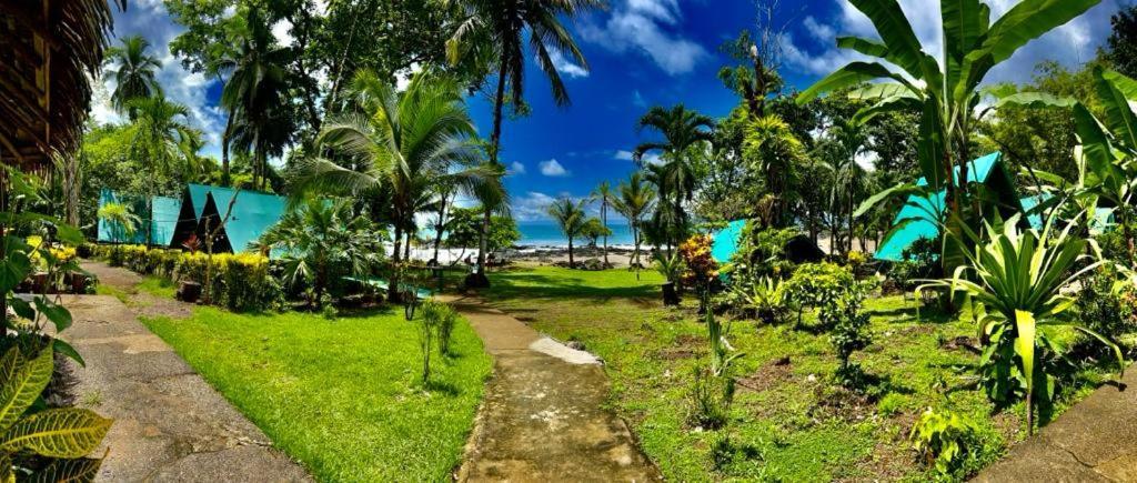 Corcovado Adventures Hostel Drake Bay Exterior photo