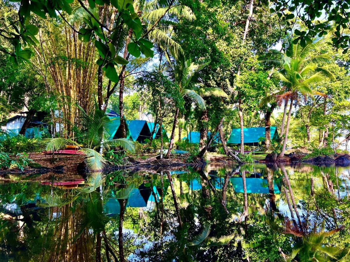 Corcovado Adventures Hostel Drake Bay Exterior photo